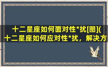 十二星座如何面对性*扰[图](十二星座如何应对性*扰，解决方法大不同！)